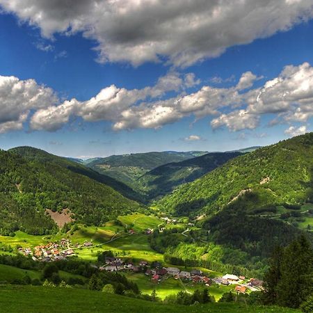 Urlaub Auf 1.000 Meter Hoehe Mit Pool Und Sauna Schönwald Exterior photo