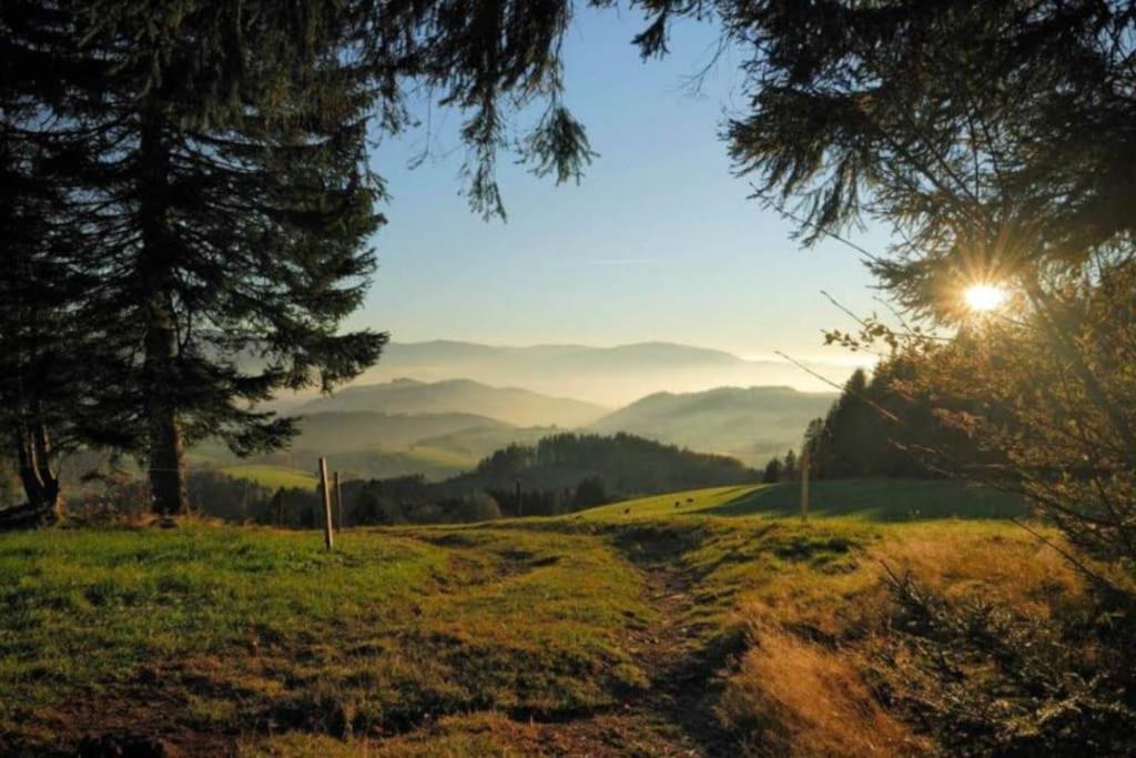 Urlaub Auf 1.000 Meter Hoehe Mit Pool Und Sauna Schönwald Exterior photo