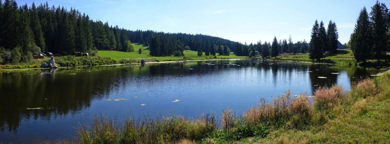 Urlaub Auf 1.000 Meter Hoehe Mit Pool Und Sauna Schönwald Exterior photo