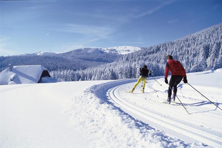 Urlaub Auf 1.000 Meter Hoehe Mit Pool Und Sauna Schönwald Exterior photo