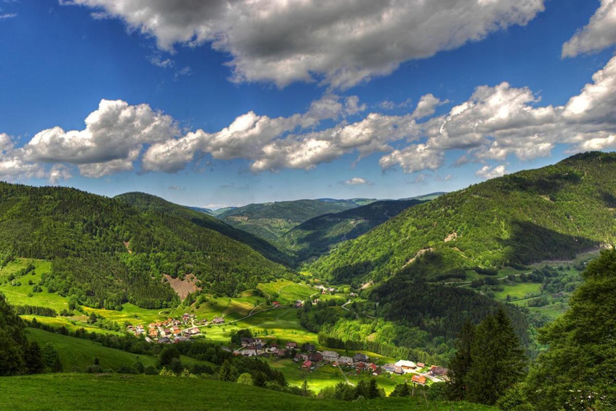 Urlaub Auf 1.000 Meter Hoehe Mit Pool Und Sauna Schönwald Exterior photo